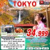 ทัวร์ญี่ปุ่น โตเกียว  TOKYO AUTUMN อิบารากิ - นิกโก้ - ฟูจิ (เที่ยวเต็ม) 6D3N บินXJ เดินทาง พ.ย. ธ.ค. 69 ราคาเริ่มต้น 34,999 บาท