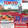ทัวร์ญี่ปุ่น โตเกียว TOKYO โคเชีย อิบารากิ (บินดึกกลับเช้า เที่ยวเต็ม)  5D3N บินXJ เดินทาง ต.ค. 68 ราคาเริ่มต้น 33,999 บาท