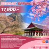 ทัวร์เกาหลี SEORAK SPRING BLOOM 5 วัน 3 คืน บิน7C/BX เดินทาง มี.ค.-พ.ค. 68 ราคาเริ่ม 17,900 บาท