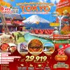 ทัวร์ญี่ปุ่น TOKYO SHIZUOKA YAMANASHI ARROW FUJI AUTUMN 5วัน4คืน บินXJ เดินทาง ก.ย.-ต.ค. 68 ราคาเริ่มต้น 29,919.- บาท