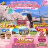 ทัวร์ญี่ปุ่น โตเกียว TOKYO SAKURA FUJINOMIYA FUJI TWO NIGHT 6วัน 4คืน บินXJ เดินทาง  เมษายน 69 เริ่ม 39,919 บาท