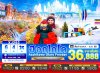 ทัวร์ญี่ปุ่น ฮอกไกโด HOKKAIDO ASAHIKAWA OTARU FREEDAY 6วัน 4คืน บินXJ เดินทาง พ.ย. 68 ราคาเริ่ม 36,888  บาท