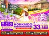 ทัวร์ญี่ปุ่น ฮอกไกโด HOKKAIDO ASAHIKAWA OTARU LAVENDER FREEDAY 6วัน 4คืน บินXJ เดินทาง  ก.ค. 69 ราคาเริ่ม 33,888 บาท