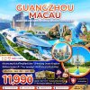 ทัวร์มาเก๊า กวางเจา จูไห่ เวเนเชียน สวนสนุก CHIMELONG OCEAN KINGDOM 4 วัน 2 คืน บินAQ เดินทาง พ.ย. 68 -ม.ค. 69 ราคาเริ่มต้น 11,990 บาท