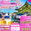 ทัวร์เกาหลี ปูซาน โซล KTX BUSAN SEOUL5D3N SPRING  เดินทาง มี.ค.-ก.ค.68 ราคาเริ่ม 9,999 บาท FCKT707