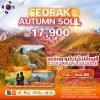 ทัวร์เกาหลี SEORAK AUTUMN SOUL 5 วัน 3 คืน บินBX เดินทาง ก.ย. - พ.ย. 68 ราคาเริ่มต้น 17,900.-บาท
