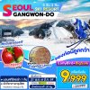 ทัวร์เกาหลี Seoul Gangwon Ski Resort 5D3N บินโลว์คอส  เดินทาง พ.ย. 68 – มี.ค. 69 ราคาเริ่ม 9,999 บาท