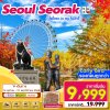 ทัวร์เกาหลี Seoul - Seorak 5D3N  บินโลว์คอส เดินทาง ต.ค.-พ.ย. 68 ราคาเริ่ม 9,999 บาท