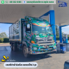 HINO สิบล้อดั้มพ์คอกเกษตร เครื่อง 344 ปี 61 ราคาขาย 1,390,000 บาท