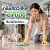 บ้านมีสัตว์เลี้ยง กลิ่นต้องไม่ใช่เรื่องกวนใจ: GRIP น้ำยาทำความสะอาดฆ่าเชื้อสำหรับบ้านที่รักความสะอาด