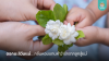 ดอกมะลิวันแม่… กลิ่นหอมแทนคำว่ารักจากลูกสู่แม่