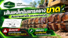 เส้นเหล็กในแทรคยางขาด อาการที่ควรหยุดใช้งานทันที