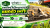 ลิงก์เหล็กแยกจากแทรคยางเพราะแรงกระแทก เกิดจากอะไร