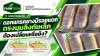 ดอกแทรคยางสึกตามการใช้งาน แบบไหนยังใช้ต่อได้