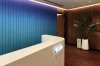 Our Projects