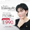 โปรแกรม Pico Laser