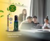Tips to Stay Focused at the Office and Maintain Your Health with Sanga Sanga Oil Tips to Stay Focused at the Office and Maintain Your Health with Sanga Sanga Oil