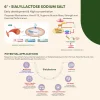 6'-Sialyllactose (6'-SL) sodium salt _ Food additives