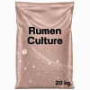 Rumen culture