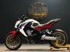 HONADA 2014