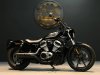 HARLEY-DAVIDSON 2022/2024