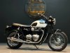 TRIUMPH 2020