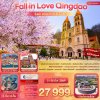 Fall in Love Qingdao ชิงเต่า เหยียนไถ เว่ยไห่ เผิงไหล 6D 4N