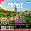 จีน Peony Blossom เจิ้งโจว ซีอาน 7 วัน 5 คืน (SL)