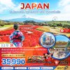 โตเกียว นาริตะ ฟูจิ นิกโก้ ทุ่งดอกโครเชีย
