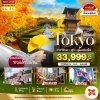 โตเกียว คาวาโกเอะ ฟูจิ อุโมงค์เมเปิ้ล 5 วัน 4 คืน