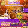 โตเกียว ฮาเนดะ ฟูจิ อุโมงค์เมเปิ้ล ใบไม้เปลี่ยนสี 5วัน 4คืน
