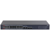 CS4228-24GT-375