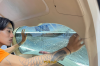 Ceramic Film UV Protection 