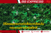 วิธีลดผลกระทบต่อสิ่งแวดล้อมในกระบวนการโลจิสติกส์ วิธีลดผลกระทบต่อสิ่งแวดล้อมในกระบวนการโลจิสติกส์