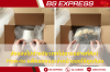 ส่งของไปต่างประเทศไม่ยากอย่างที่คิด! How-to แพ็คของและจ่าหน้าซองให้ถูกต้อง