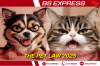 THE PET LAW THE PET LAW