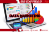 Data Marketing                           