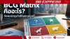 BCG Matrix คืออะไร? จัดพอร์ตธุรกิจให้ลงทุนถูกที่