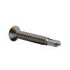 Tapping / Drilling Screws