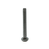 Tapping / Drilling Screws