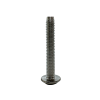 Tapping / Drilling Screws