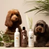 Natural Pet Shampoo