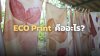 Eco Print คืออะไร?