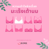 EP005 ความเข้าใจผิดเรื่องมะเร็งเต้านมที่คนมักเข้าใจผิด EP005 ความเข้าใจผิดเรื่องมะเร็งเต้านมที่คนมักเข้าใจผิด
