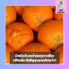 ผิวเต้านมบุ๋มหรือขรุขระเหมือนเปลือกส้ม สัญญาณอันตรายที่ต้องรีบเช็ก ผิวเต้านมบุ๋มหรือขรุขระเหมือนเปลือกส้ม สัญญาณอันตรายที่ต้องรีบเช็ก