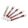 เครื่องชั่งสปริงพลาสติกใส, Plastic Spring Balance