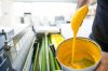 Printing ink &amp; Pigments: 