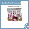 โมเดลสอนแปรงฟันพร้อมแปรง