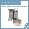 ที่นอนลมรังผึ้ง Anti-Decubitus Mattress (Lattice style) 7700 air pump