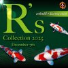 R's Collection 2025 R's Collection 2025